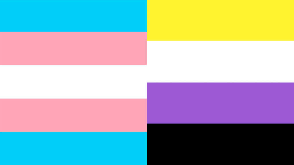 The transgender flag (five horizontal stripes: two light blue, two pink, and one white in the center) and the non-binary flag (four horizontal stripes: yellow, white, purple, and black)